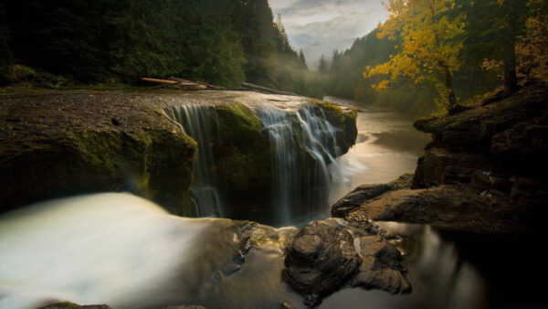 Wallpaper Mountains, Covered, Rocks, Waterfall, River, Trees, Landscape, Green, Nature, View, Pouring, Algae