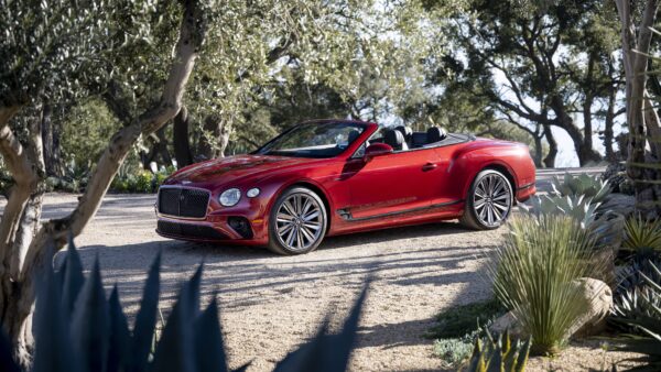 Wallpaper Continental, Bentley, Convertible, Cars, Speed, 2022