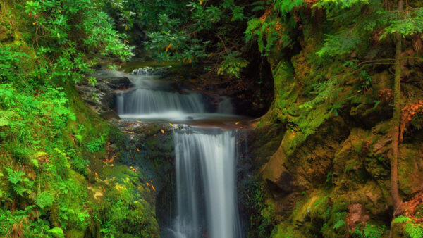 Wallpaper Waterfall, Stone, Rock, Bushes, Nature, Trees, Forest, Background, Green, Between, Algae, Stream, Beautiful