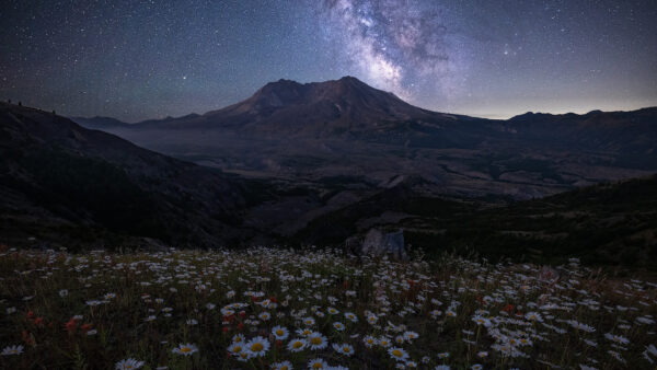 Wallpaper Landscape, White, Field, And, Sky, View, Flowers, Starry, Background, Nature, Mountain