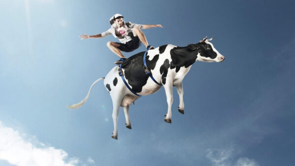 Wallpaper Animal, Man, Sky, Background, Cow, Funny