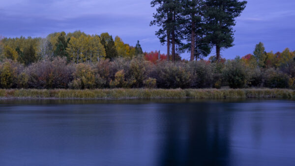 Wallpaper Nature, Trees, Leaves, Bushes, Plants, Autumn, River, Blue, Sky, Background