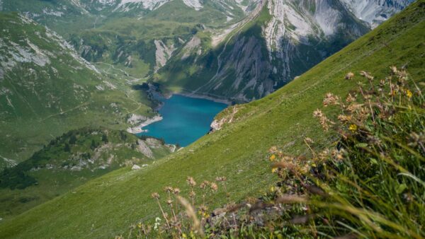 Wallpaper Lake, Scenery, Grass, Mountain, Field, Slope, Background, Trees, Nature, Green, Flowers, Yellow