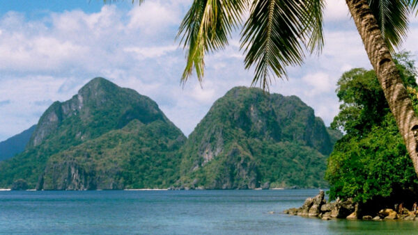 Wallpaper Nature, Greenery, Rock, Mountains, White, Under, Blue, View, Clouds, Palm, Sky, Tree, Landscape