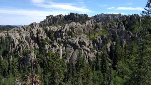 Wallpaper Mobile, Trees, Desktop, Under, Rocks, Stones, Bushes, Nature, Background, Forest, Sky, Blue