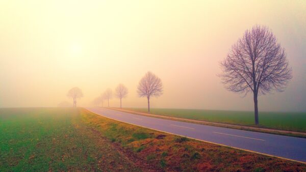 Wallpaper Morning, Landscape, Misty