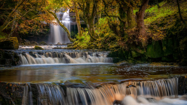 Wallpaper Forest, Trees, Between, Green, Covered, Stream, Desktop, Nature, Waterfall