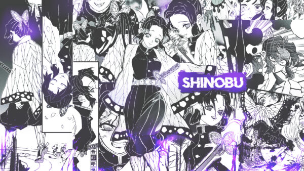 Wallpaper Anime, Slayer, Shinobu, Desktop, Different, Kochou, Views, Demon