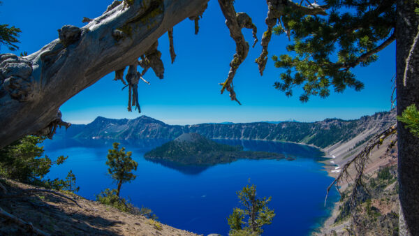 Wallpaper Desktop, Nature, Crater, View, Island, Park, Lake, National, Landscape, Tree, Oregon