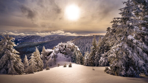 Wallpaper Covered, Sky, With, Snow, And, Mountain, Background, Cloudy, Sun, Trees, Winter