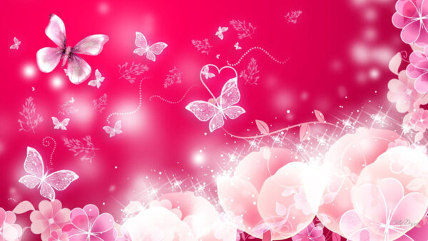 Wallpaper Butterfly, Pink, Butterflies, White