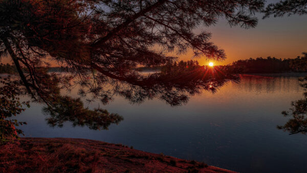 Wallpaper Lake, Tree, Sunset, Pine, And, Nature, Desktop, View, During