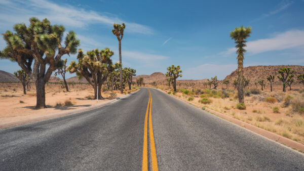 Wallpaper Nature, Road, Mobile, And, Desktop, Green, Mountains, Between, Trees, Desert