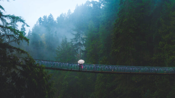 Wallpaper Bridge, West, Vancouver, Canada, Suspension, Capilano