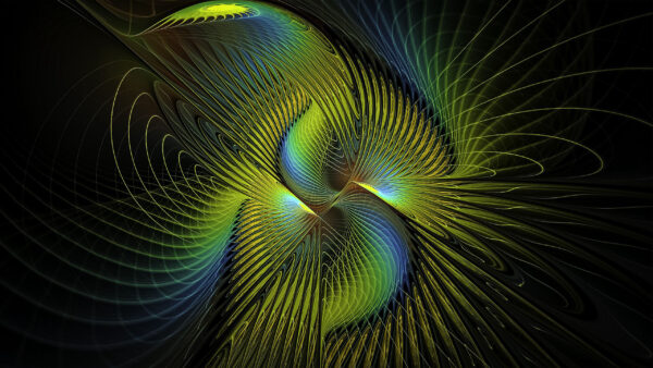 Wallpaper Abstract, Lines, Patterns, Fractal, Desktop, Feathers