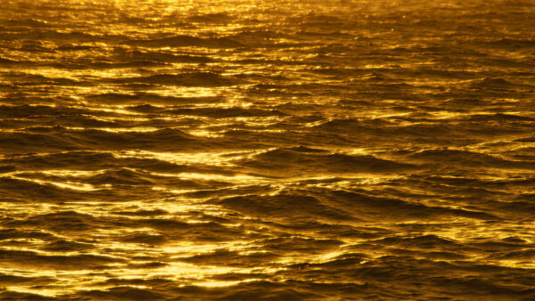 Wallpaper Body, Waves, Golden, Gold, Water