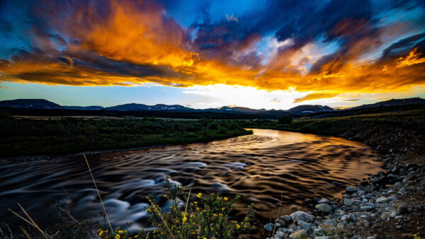 Wallpaper Stream, Yellow, Sky, Grass, Green, Field, Nature, Clouds, Mobile, Desktop, Under, Plants, Water, Bushes, Black, Blue