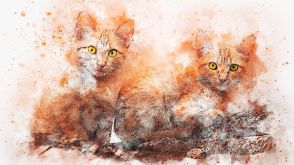 Wallpaper Cat, Painting, Artistic, Desktop