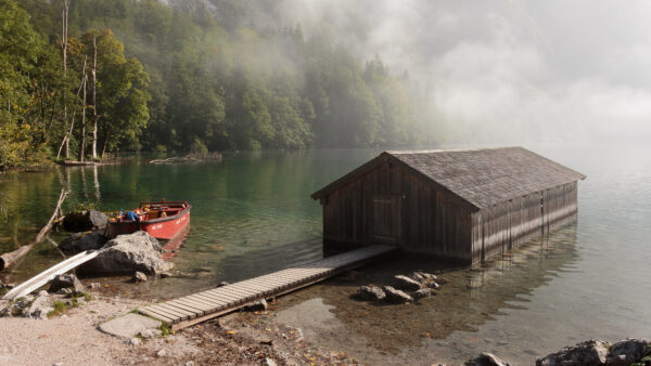 Wallpaper House, Water, Fog, Desktop, Nature, Green, Boat, Mobile, Trees, With