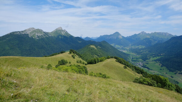 Wallpaper Desktop, Hills, Mobile, Greenery, Bushes, Trees, Nature, Grass