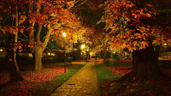 Wallpaper Nighttime, Leaves, Autumn, Colorful, Lights, Trees, Path, During, Park