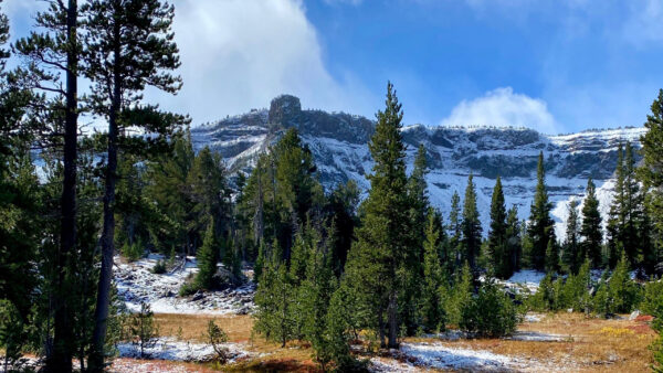 Wallpaper Green, Spruce, Landscape, Covered, Blue, Trees, White, View, Sky, Background, Nature, Mountains, Snow, Clouds, And