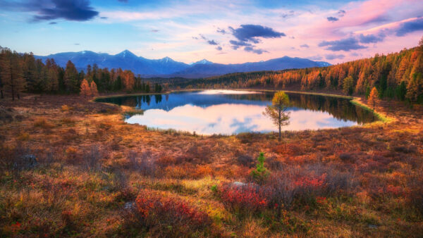 Wallpaper Blue, Lake, Clouds, Surrounded, Black, Fall, Water, Autumn, Under, Reflection, Beautiful, Sky, Trees
