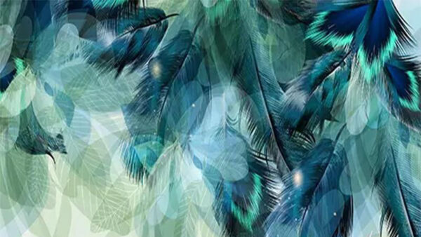 Wallpaper Feathers, Blue, Blur, Background, Teal