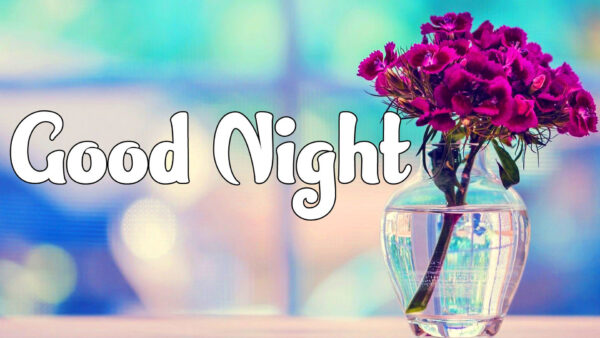 Wallpaper Pot, With, Word, Good, Flower, Night