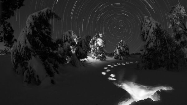 Wallpaper Trees, Nighttime, Trail, Winter, Star, Frozen, Nature, During