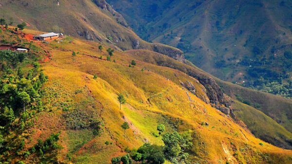 Wallpaper Slope, Trees, Green, Bushes, View, Village, Aerial, Nature, Mountains, House