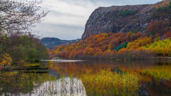 Wallpaper River, Reflection, Blue, Background, Colorful, View, Mountain, Trees, Sky, Autumn, Landscape, Beautiful, Under