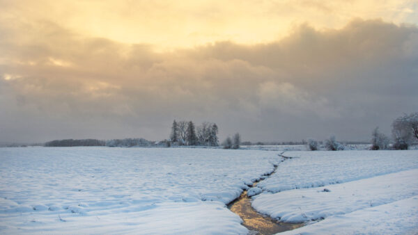 Wallpaper Clouds, Scenery, Frozen, Stream, Winter, White, Sky, Trees, Background, Under, Nature, Water