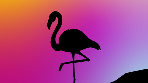 Wallpaper Minimalism, Silhouette, Bird, Background, Flamingo