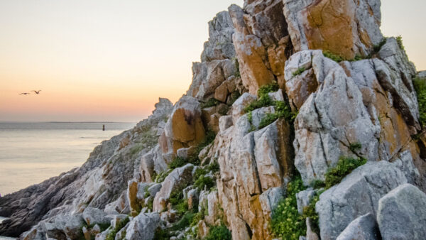 Wallpaper Nature, Background, Bushes, Stones, Ocean, Rock