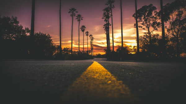 Wallpaper Road, 4k, Images, Phone, Cool, During, Pc, City, Clouds, Nature, Desktop, Sunset, Background, Trees, Mobile