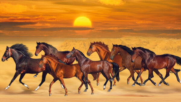 Wallpaper Desktop, Sunset, Horses, Running, Are, Sand, Seven, Beautiful, Sea, During