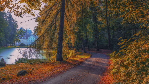 Wallpaper During, And, Nature, Near, Lake, Fall, Park, Road, Building