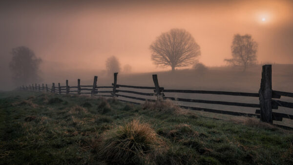 Wallpaper Land, Nature, Covered, With, Grass, Fence, Fog, Sunrise, During