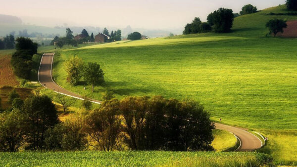 Wallpaper Green, House, View, Grass, Field, Farm, Aerial, Nature, Trees, Road, Slope