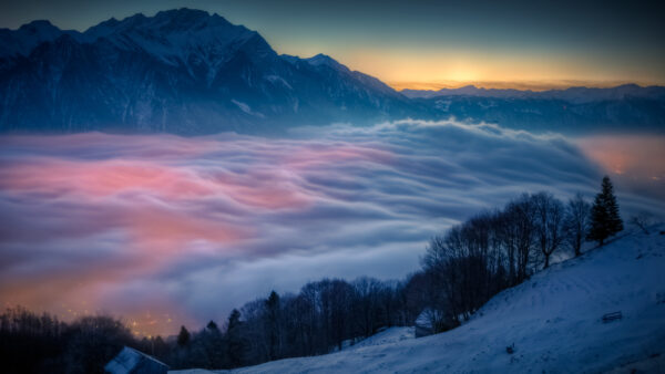 Wallpaper Landscape, Trees, View, Covered, Mountains, Fog, Mobile, Forest, Nature, Desktop