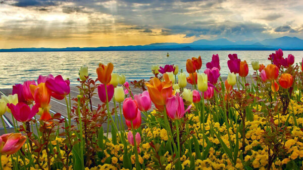 Wallpaper Leaves, Desktop, River, With, Spring, Background, Colorful, Flowers, Side