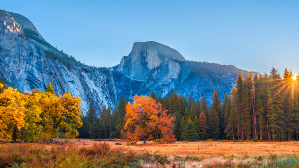 Wallpaper Colorful, Trees, Autumn, Sky, Mountain, Blue, Beautiful, Desktop, Background, Mobile, Under