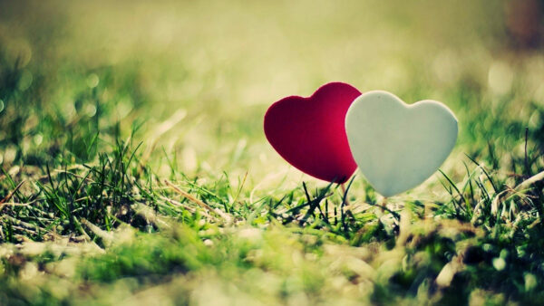 Wallpaper White, Background, Heart, Red, Grass, Love, Blur, Green, Shapes, Bokeh