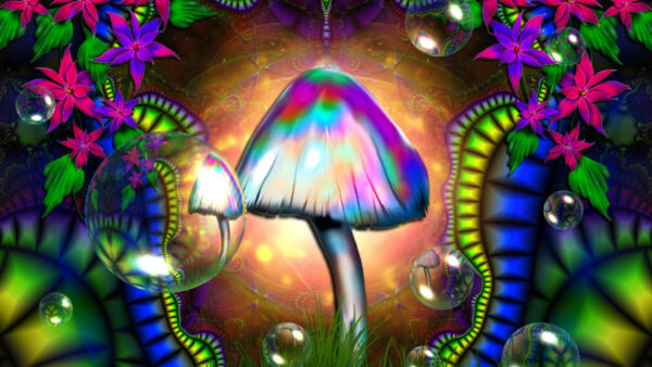 Wallpaper Trippy, Bubble, Desktop, Mushroom, Colorful