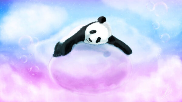 Wallpaper Desktop, Panda, White, Black, Bubble