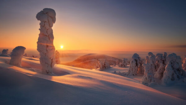 Wallpaper Under, Trees, Capped, Slope, Snow, Sky, Winter, Sunset, Mountains, During, Blue