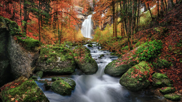 Wallpaper Beautiful, Trees, Scenery, View, Nature, Covered, Waterfall, Leaves, And, Algae, Landscape, Bushes, Stones, Red