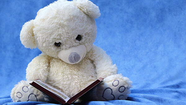 Wallpaper Background, Blue, Book, Open, With, Bear, Teddy