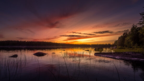 Wallpaper Stones, Water, River, Sunset, Surrounded, Trees, Green, During